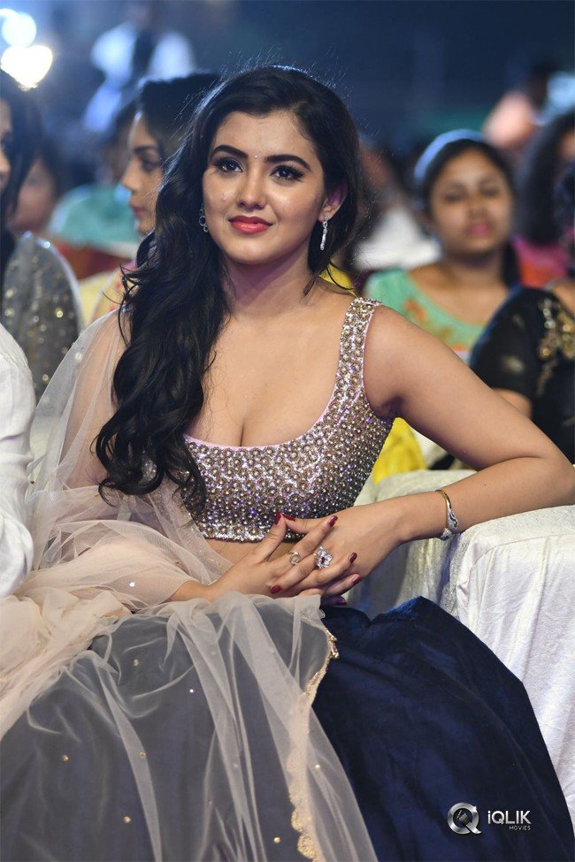 Nela-Ticket-Movie-Audio-Launch-Photos